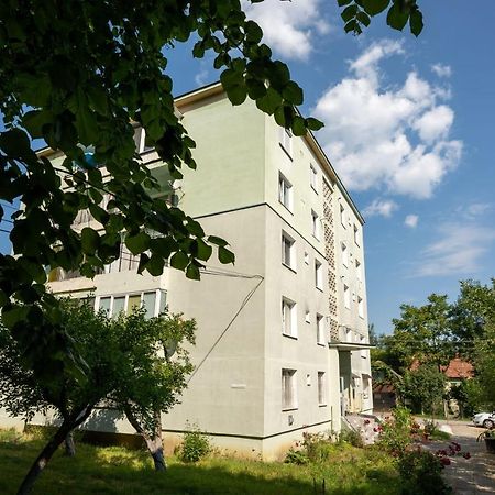 Nya Apartment Сигишоара Экстерьер фото