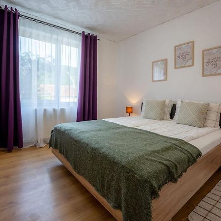 Nya Apartment Сигишоара Экстерьер фото