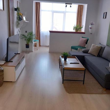 Nya Apartment Сигишоара Экстерьер фото