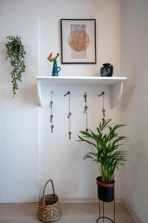 Nya Apartment Сигишоара Экстерьер фото